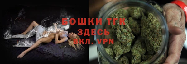 прущие грибы Алзамай
