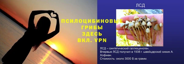 гидра Алексеевка