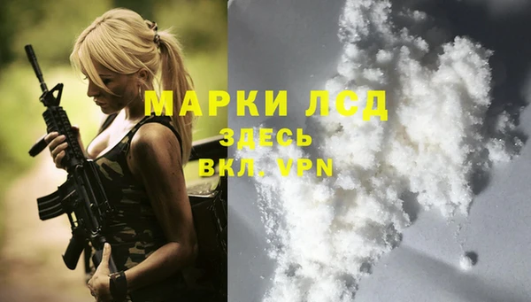 гидра Алексеевка